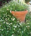 repurpose broken pots