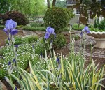 DSC01022_edited-1 – Copy