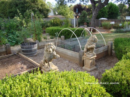 Overlooking part of the vegetable garden